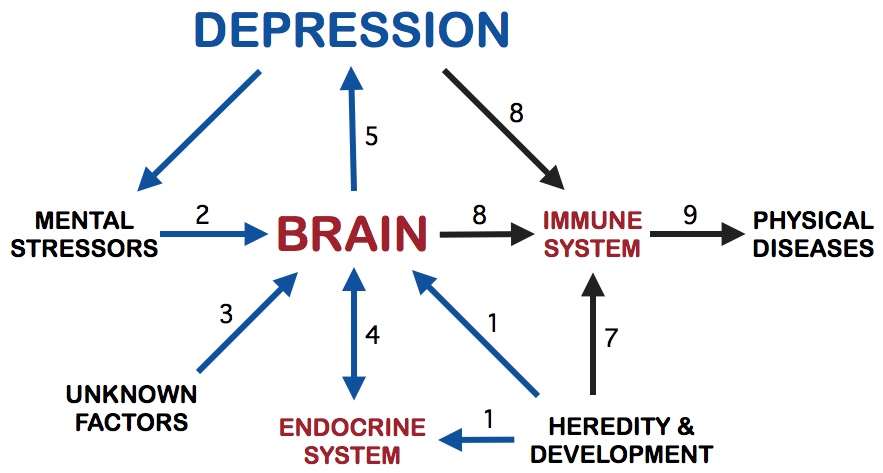 Psychiatry's Current Paradigm of Depression Diagram